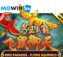 Mgwin88 Bird Paradise-Flying Squirrels