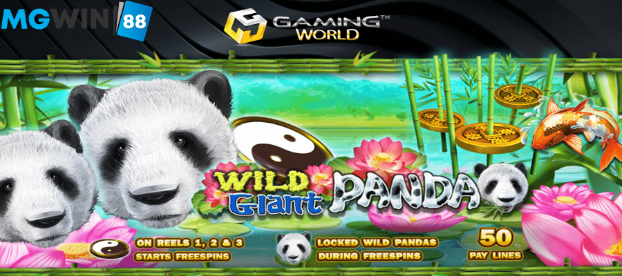 Mgwin88 Wild Giant Panda