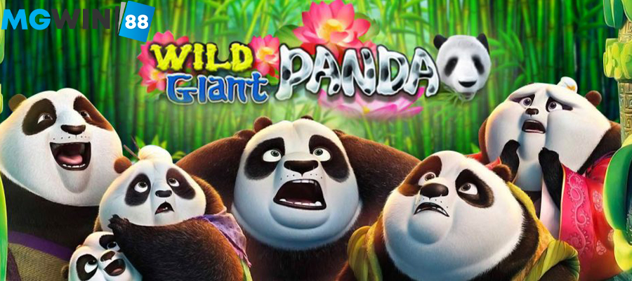 Mgwin88 Wild Giant Panda