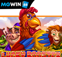 mgwin88 Lucky Rooster สมัคร สมาชิก ใหม่ โบนัส 100เทิร์นน้อย free Of The NEW Time