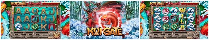 koi gate