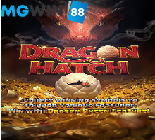 mgwin88 Dragon Hatch