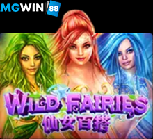 MGWIN88 Slot Wild Fairies เอเย่นต์เว็บพนัน pantip เว็บสล็อต free Of The NEW Time