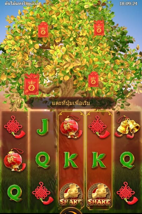 mgwin88 tree-ofบบ