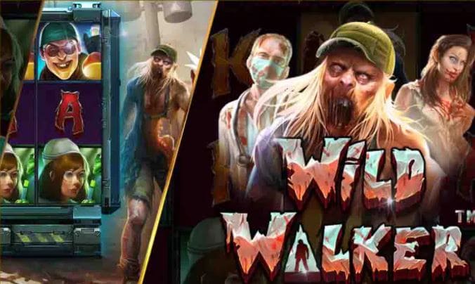 Mgwin88 ทางเข้า สล็อต Wild Walker สล็อต ฝากถอน ไม่มี ขั้นต่ำ 100 free Of The Time