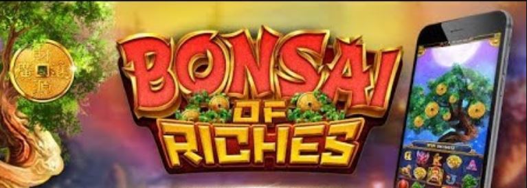 Bonsai of Riches