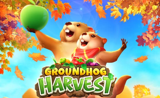 mgwin88 Groundhog Harvest เว็บคาสิโนเปิดใหม่ free Of The NEW Tim