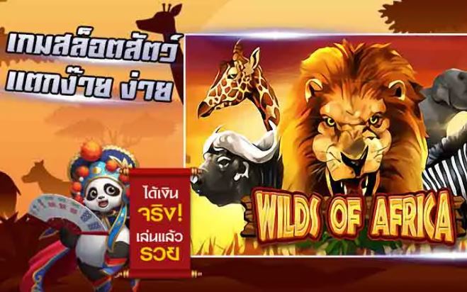 Mgwin88 Wild of Africa เกมสนุก ทำเงินได้จริง แตกง่าย จ่ายเร็ว free Of The Time